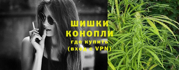 сатива Абинск