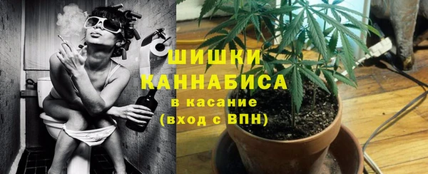 сатива Абинск