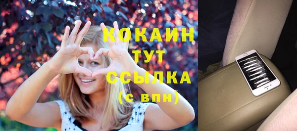 сатива Абинск