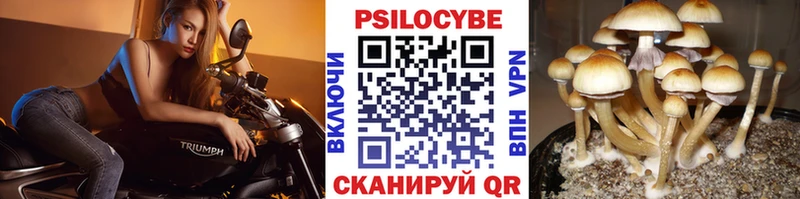 Галлюциногенные грибы MAGIC MUSHROOMS  цена   Павловский Посад 
