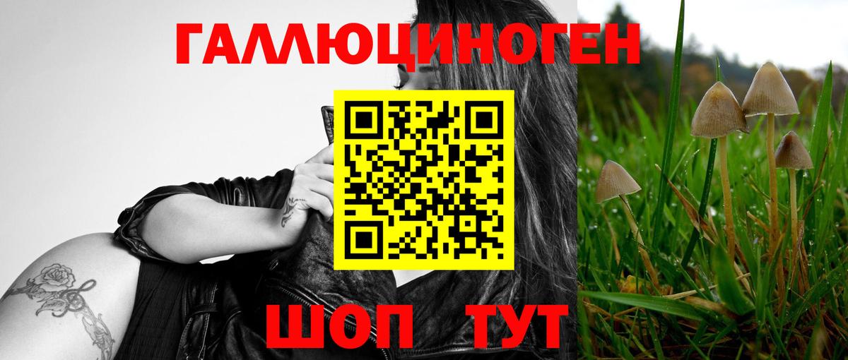 Галлюциногенные грибы MAGIC MUSHROOMS  где купить наркоту  Павловский Посад  Вход с VPN 